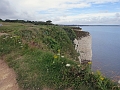 07 07 16_8551_edited-1